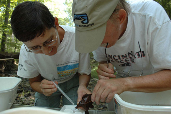 5 - Debra Prybyla and Fred Seitz examine a leaf for hidden macroinvertebrates